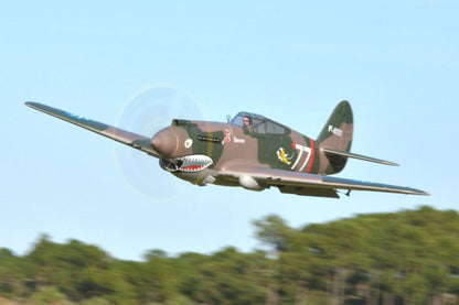 FMS 1400mm P-40B Warhawk Flying Tiger PNP